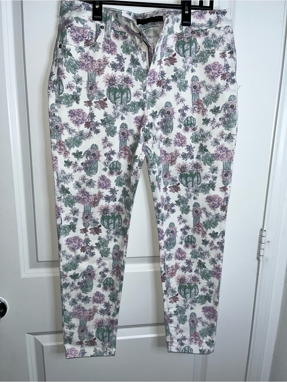 Truth + Theory Stretch Skinny Jeans Floral Cactus Succulent Print Buttery Soft
